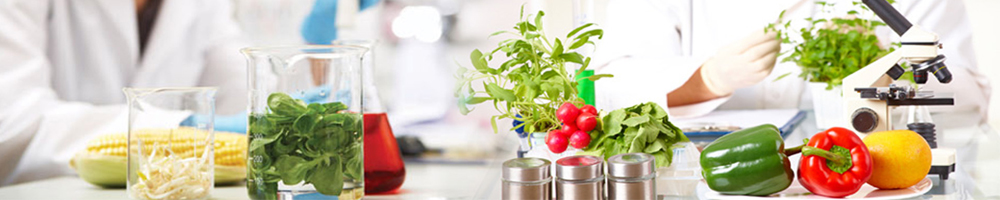 Banner – Food Testing
