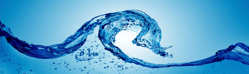 banner01