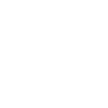 icon-inspection
